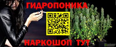 прущие крисы Малгобек