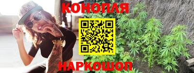 прущие крисы Малгобек