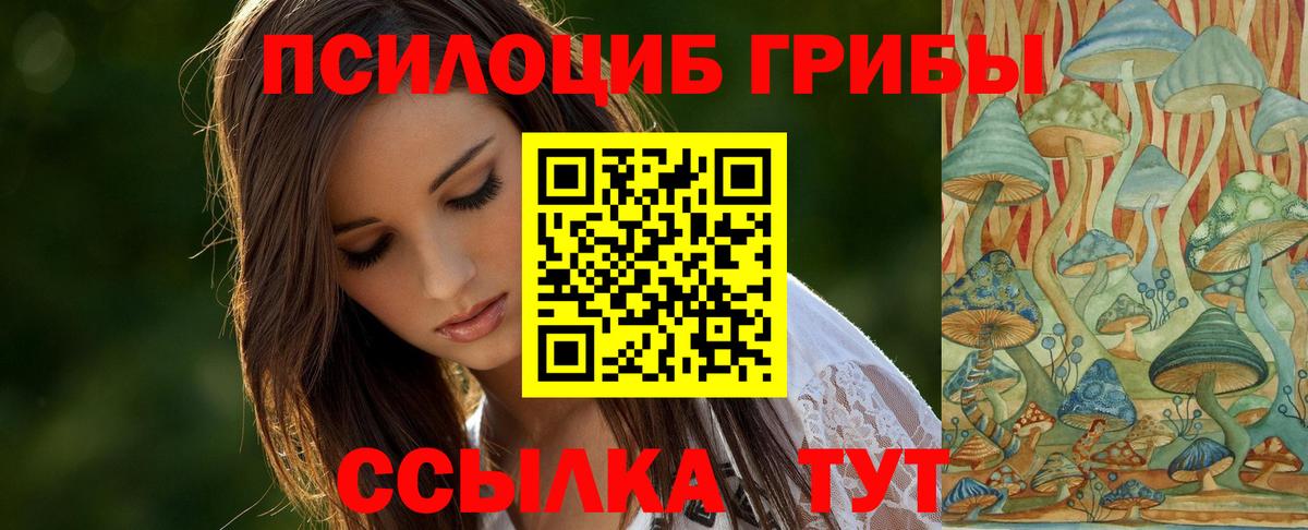 COCAIN Сертолово