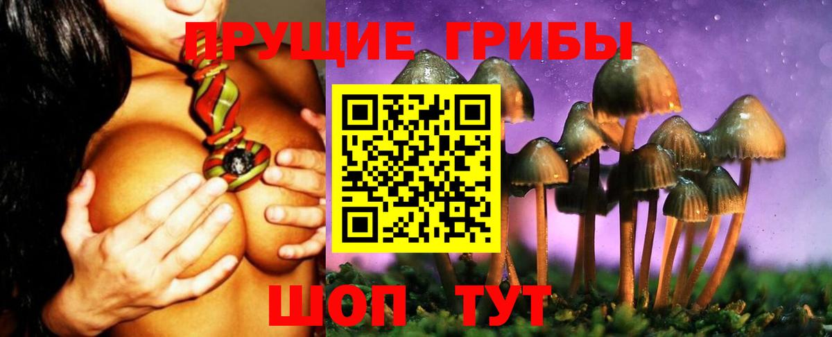 даркнет сайт  Псилоцибиновые грибы мухоморы  Вход с VPN  Сертолово 